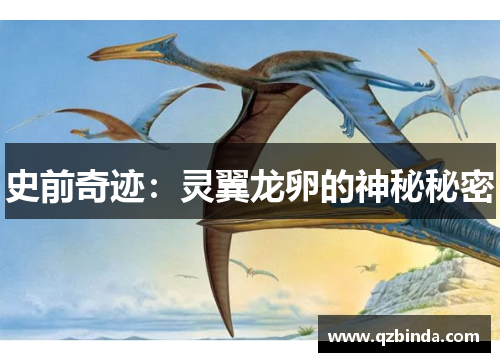 史前奇迹：灵翼龙卵的神秘秘密